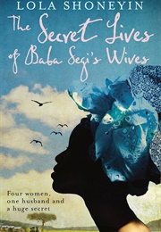The Secret Lives of the Four Wives (Lola Shoneyin)