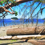 Kopachuck State Park (Washington)
