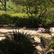 Alice Keck Park Memorial Garden