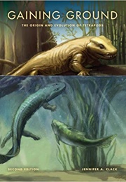 Gaining Ground (Jennifer Clack)