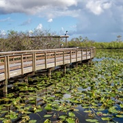 Everglades National Park