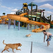 Grapeland Water Park