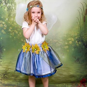 Blue Fairy Costume