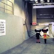 Disney Tunnels