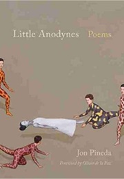 Little Anodynes (Jon Pineda)