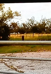 Opgetuigd Opgetogen (2017)