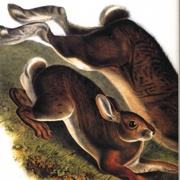 Stupid Mouth Shut - Hem