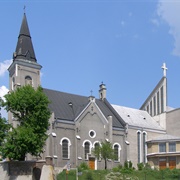 Co-Cathedral Shrine of St. Stanislaus in Lubaczów