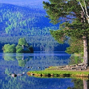 Aviemore, Scotland