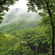 Tagata, Izu Peninsula, Japan
