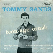 Teenage Crush Tommy Sands