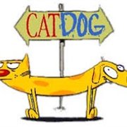 Cat Dog