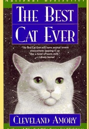 The Best Cat Ever (Amory)