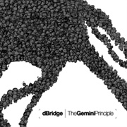 D-Bridge - The Gemini Principle