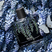 Nest - Wisteria Blue