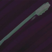 "The World's Best Tothbrush"