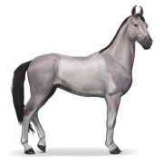 Mouse Grey Tobiano