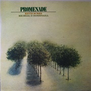 Promenade- Kevin Burke & Michael O Domhnaill