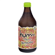 Humm Hopped Grapefruit Kombucha