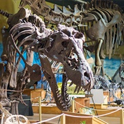 Wyoming Dinosaur Center, Thermopolis