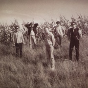 Let's Go - The Feelies