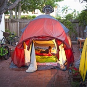 Camp in the Backyard