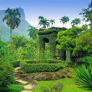 Jardim Botânico Do Rio De Janeiro, Brazil