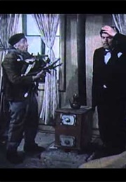 The Historian and the Chameleons (1989)