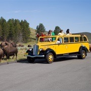 Historic Yellowstone Bus Tour