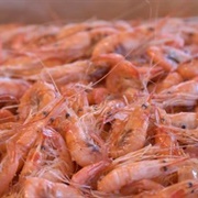 Steamed Opossum Shrimp