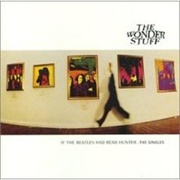 The Wonder Stuff - If the Beatles Had Read Hunter...The Singles