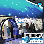 Discovery Channel Stores