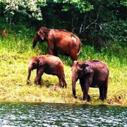 Idukki Wildlife Sanctuary