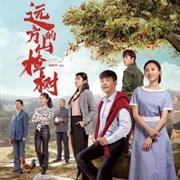 A Hawthorn Tree Far Away