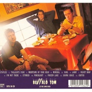 Frozen Lake - Buffalo Tom