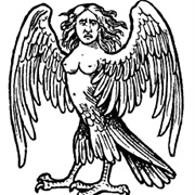 Harpies