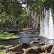 Darwin Botanical Garden