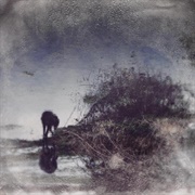 Simon Posford - Flux & Contemplation - Portrait of an Artist in Isolation