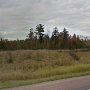 Dukes Research Natural Area