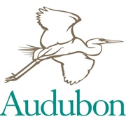 Audubon