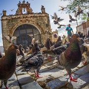 Parque De Las Palomas