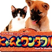 Nyan to Wonderful