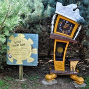The Enchanted Forest Pine Tree Maze