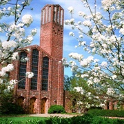 Mississippi State University