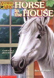 Horse in the House (Lucy Daniels)
