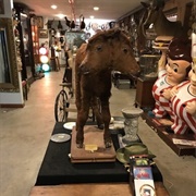 Ballyhoo Curiosity Shop