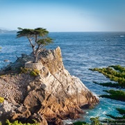 Lone Cypress, Monterey, California
