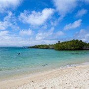 Finch Bay (Playa Los Alemanes), Island Santa Cruz, Galápagos