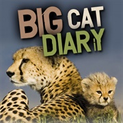 Big Cat Diary