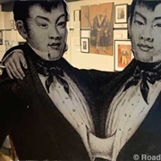 Siamese Twins Exhibit